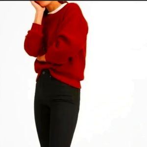 Everlane Renew Fleece Pullover Sweatshirt. Size Small. Color: Rust